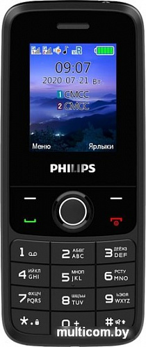 Мобильный телефон Philips Xenium E117 (темно-серый)