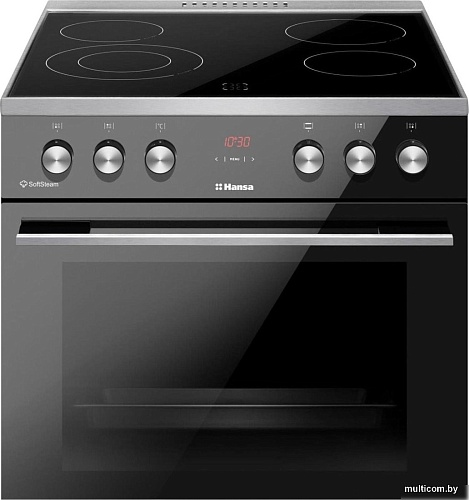 Кухонная плита Hansa FCCL69225