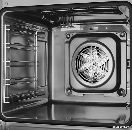 Кухонная плита Hansa FCMX59229H