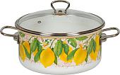Кастрюля СтальЭмаль Limon 1SD205S