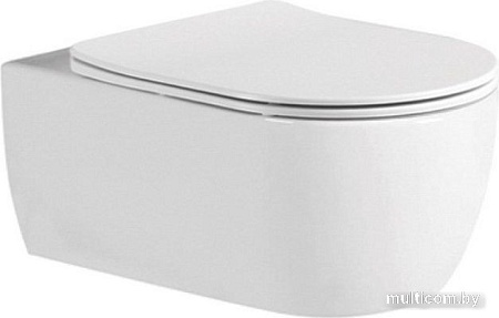 Сиденье для унитаза Aquatek AQ0009-00