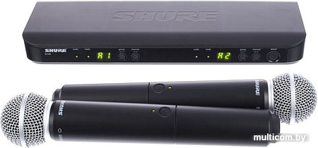 Микрофон Shure BLX288E/SM58 M17