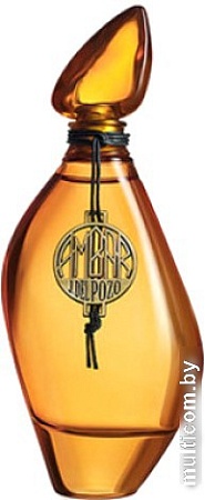 Туалетная вода Jesus Del Pozo Ambar EdT (50 мл)