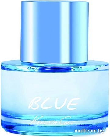 Туалетная вода Kenneth Cole Blue EdT (100 мл)