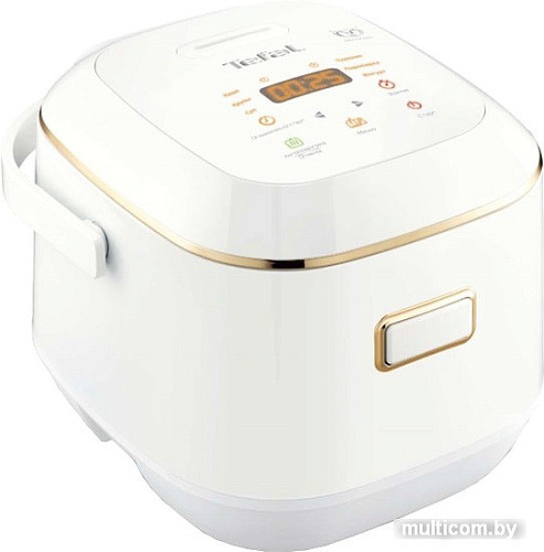 Мультиварка Tefal RK601132