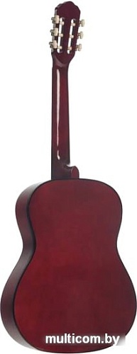 Акустическая гитара Terris TC-3901A NA