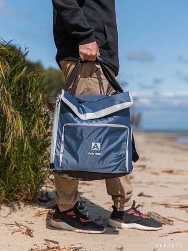 Термосумка Арктика 3001-20 20л (синий)