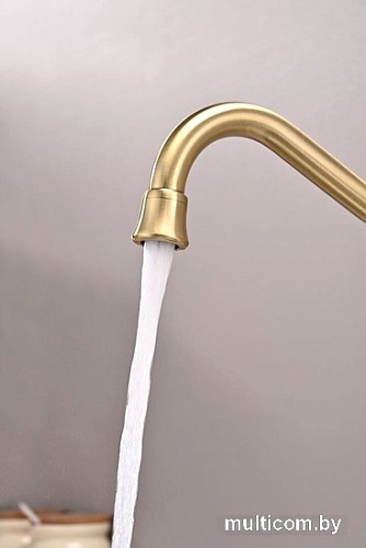 Смеситель Paulmark Retro Re213226-BR