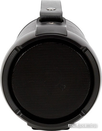 Беспроводная колонка Digma D-PS1520 (черный)
