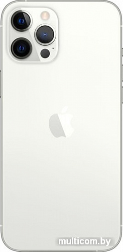 Смартфон Apple iPhone 12 Pro Max 128GB (серебристый)