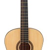 Акустическая гитара DaVinci DC-70A NA