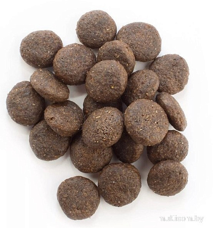 Сухой корм для собак Happy Dog Vet Intestinal Adult 26/13 4 кг