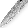 Кухонный нож Samura Damascus SD-0071