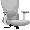 Офисное кресло Evolution ErgoLine 2 (серый)