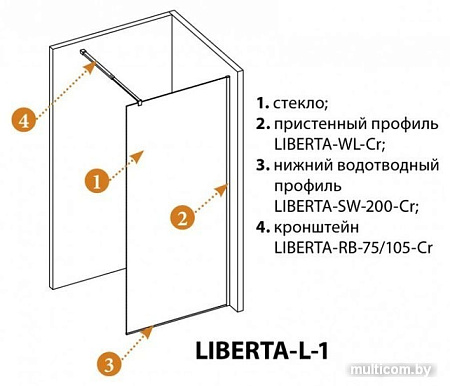 Душевая стенка Cezares LIBERTA-L-1-100-GR-NERO