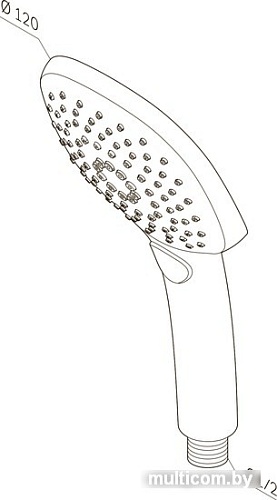 Душевая лейка AM.PM Sensation F0230000