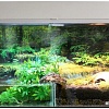 Террариум Lucky Reptile Стартовый комплект для амфибий SK50BP-W (белый)