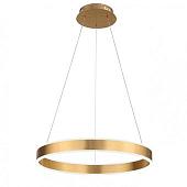 Подвесная люстра ST Luce Onze SL944.203.01