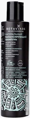 Шампунь Botavikos Aromatherapy Energy натуральный балансирующий 200мл