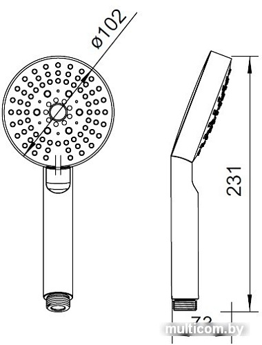 Душевая лейка IDDIS 0305F00I18