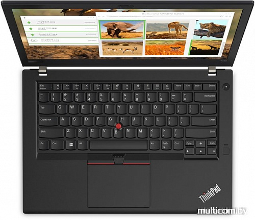 Ноутбук Lenovo ThinkPad T480 20L50000RT