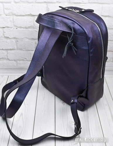 Городской рюкзак Carlo Gattini Premium Albiate 3103-56 (индиго)