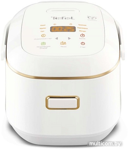 Мультиварка Tefal RK601132
