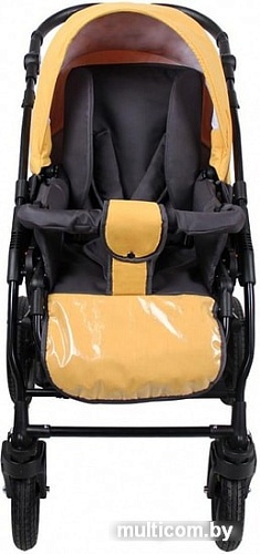 Универсальная коляска Alis Berta 20 F (3 в 1, Be 20)