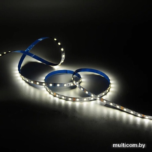 Светодиодная лента Gauss Basic LED 5050/60 12V 8W/m 800lm/m 3000K 10mm IP20 2m 1/100 BT020