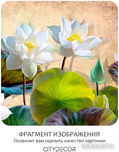 Фотообои Citydecor Цветы и Растения 163 300x260