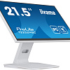 Монитор Iiyama ProLite T2252MSC-W2