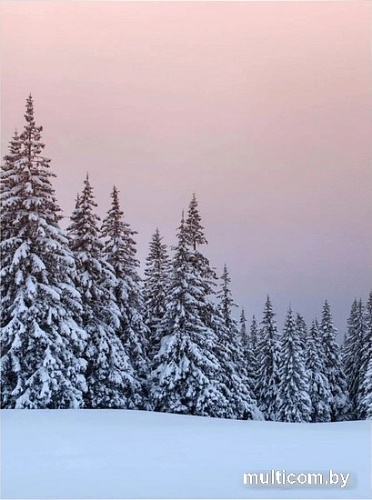 Картина Woodary 3002