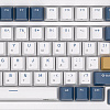 Клавиатура Royal Kludge RK98 RGB Klein Blue (RK Brown)