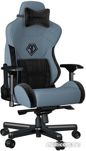 Кресло AndaSeat T-Pro 2 (голубой/черный)