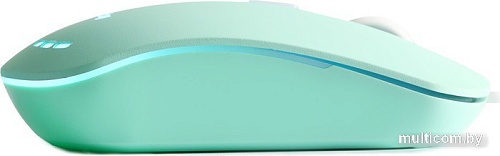 Мышь SmartBuy SBM-288-LG