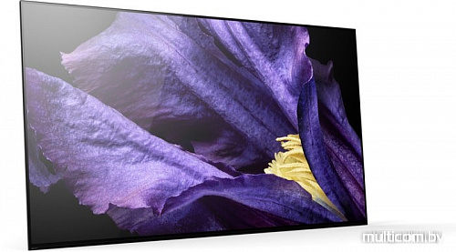 Телевизор Sony KD-65AF9