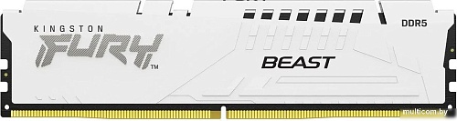 Kingston FURY Beast 16ГБ DDR5 6000 МГц KF560C36BWE-16
