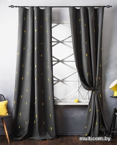 Комплект штор Pasionaria Флэш 290x250 с подхватами (мокрый асфальт)
