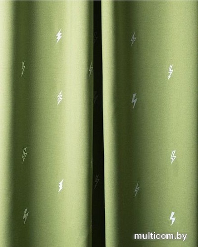 Комплект штор Pasionaria Флэш 290x280 с подхватами (зеленый)