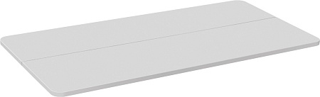 CACTUS CS-TD2-WT