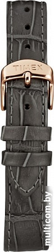 Наручные часы Timex TW2R69600