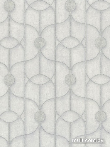 Виниловые обои Euro Decor Coin 8059-00