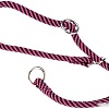 Ошейник-удавка Ferplast Sport Extreme CS8/60 77255519 (черный/сиреневый)