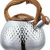 Чайник со свистком Alberg AL-3056