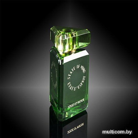 State of Mind Sense Of Humor EdP (100 мл)
