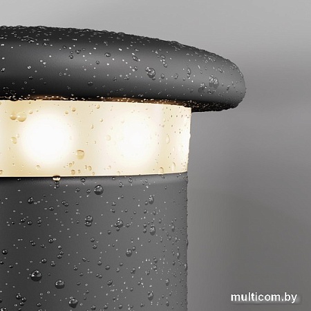 Садовый светильник Maytoni Grip O460FL-L10GF3K