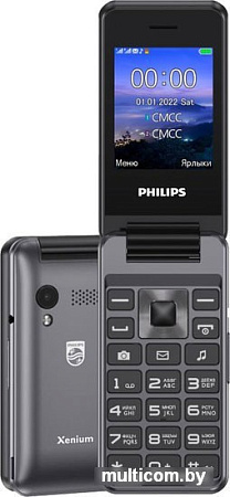 Кнопочный телефон Philips Xenium E2601 (темно-серый)