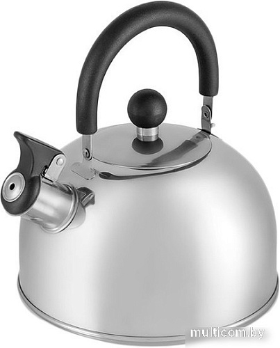Чайник со свистком Astiat AST1030