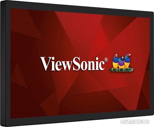 Интерактивная панель ViewSonic TD3207