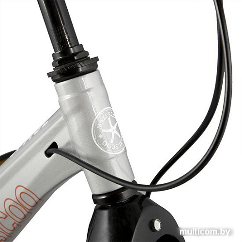 Детский велосипед Maxiscoo Space MSC-S1414D (графит)